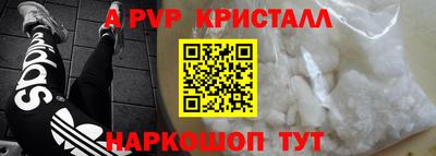 a pvp Новозыбков