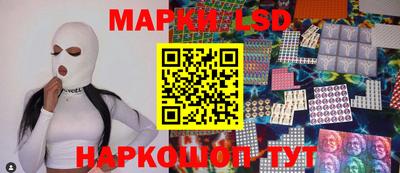 a pvp Новозыбков