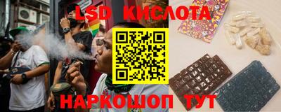 a pvp Новозыбков