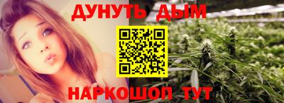 a pvp Новозыбков