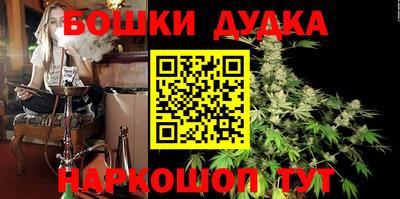 гидра Новокубанск