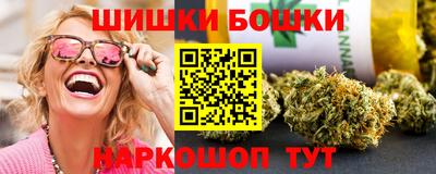 a pvp Новозыбков