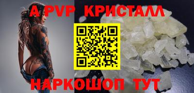 a pvp Новозыбков