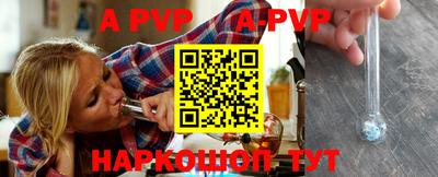 a pvp Новозыбков