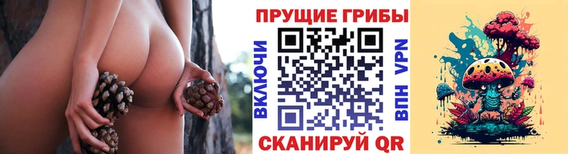 Галлюциногенные грибы Cubensis  цена   Тверь 