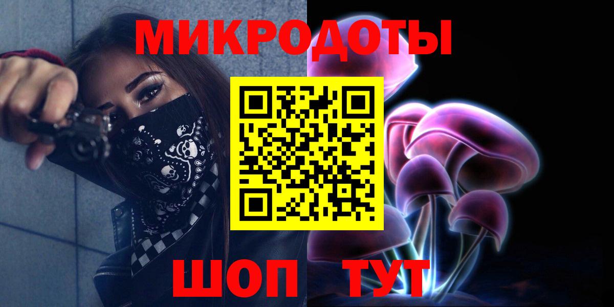 Галлюциногенные грибы Psilocybine cubensis Тверь
