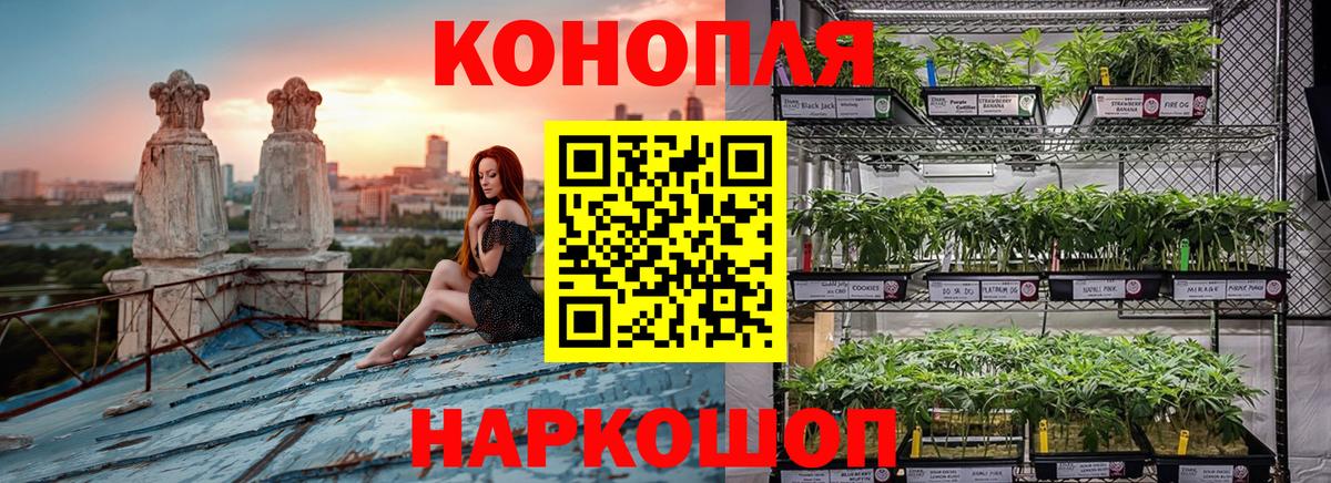 Тверь  Каннабис конопля  Канабис конопля  Каннабис White Widow  Вход с VPN 